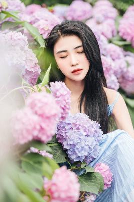 与凤行免费观看完整版电视剧