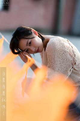 影视大全免费追剧